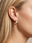 Knot Stud Hoops