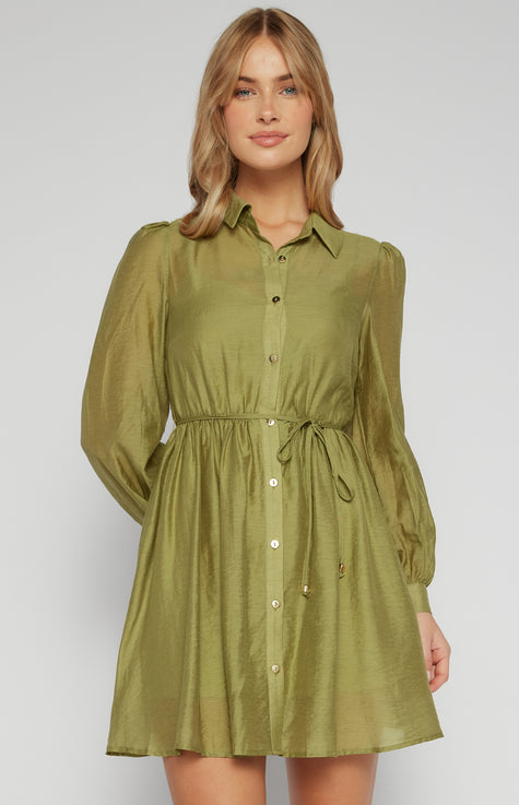 Olivia Shirt Dress